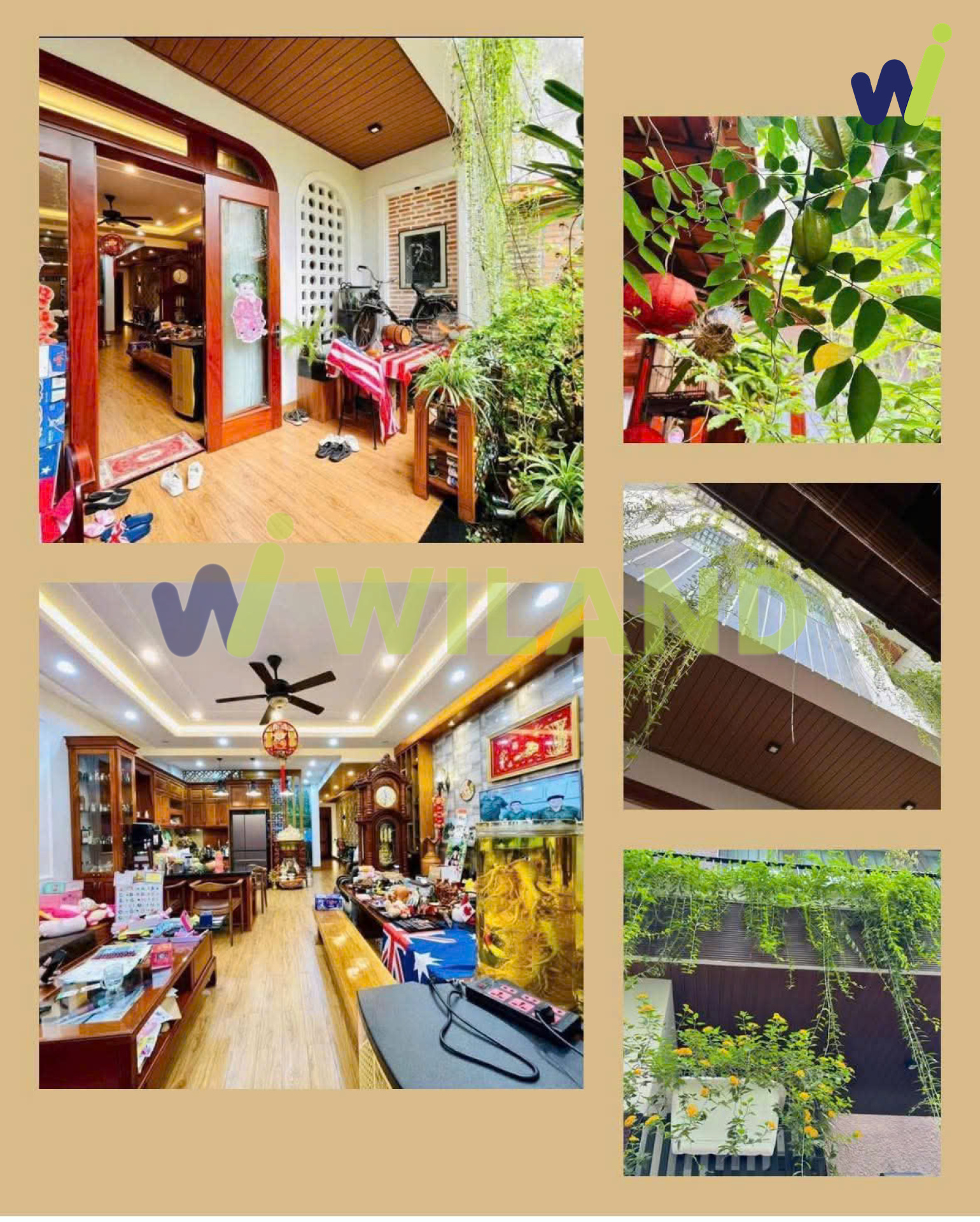 CHO THUÊ NHÀ ĐƯỜNG NGUYỄN KIM, VŨNG TÀU, PHÙ HỢP THUÊ Ở VÀ KINH DOANH, ĐẦU TƯ