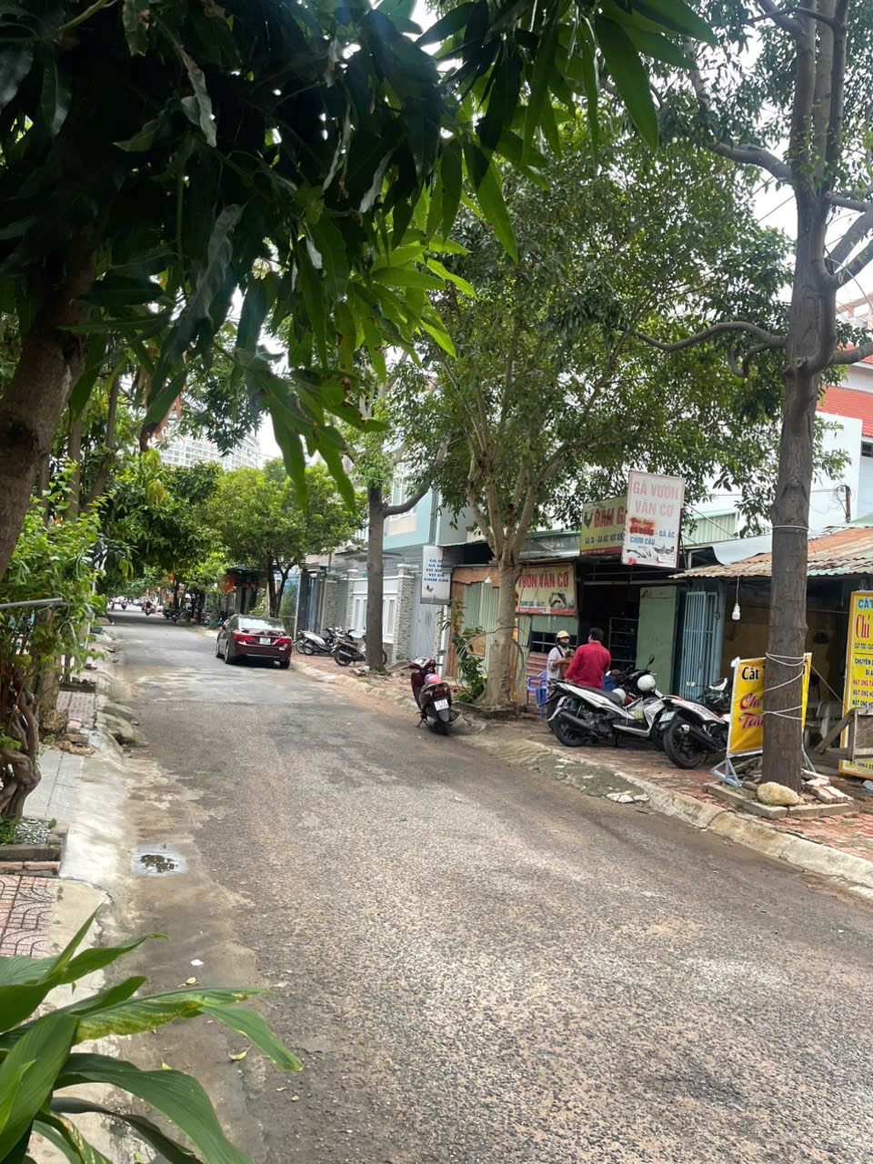 CHO THUÊ MẶT BẰNG ĐẤT TRỐNG KHU ĐÔ THỊ CHÍ LINH, VŨNG TÀU, PHÙ HỢP KINH DOANH KHO XƯỞNG, NHÀ TIỀN CHẾ, QUÁN ĂN NGAY KHU VỰC ĐÔNG DÂN CƯ
