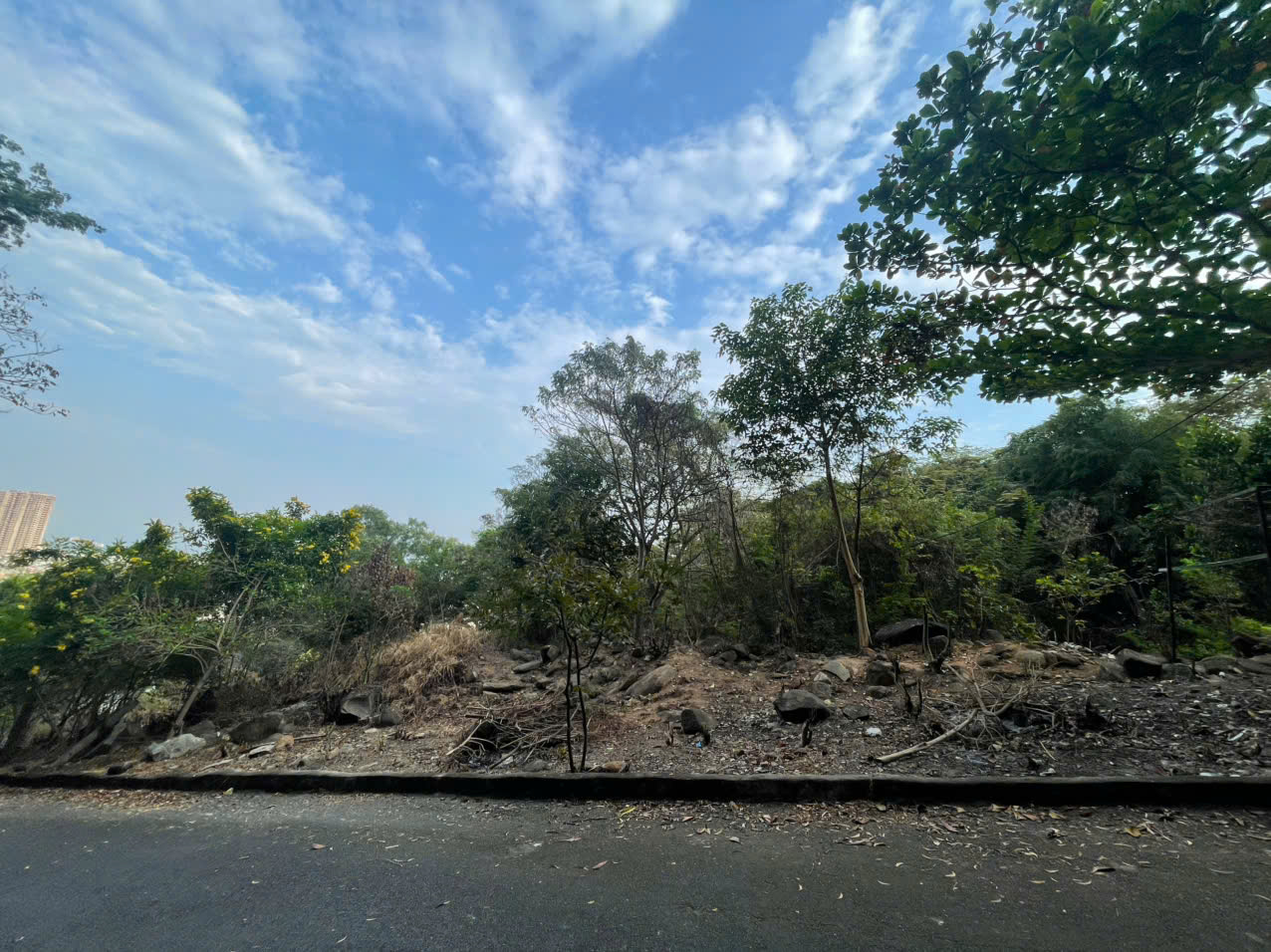 BÁN ĐẤT TRỐNG VỊ TRÍ NÚI VIBA, VŨNG TÀU, DIỆN TÍCH 2304M2 KHU VỰC DÂN CƯ HIỆN HỮU, TIỀM NĂNG ĐẦU TƯ SINH LỜI