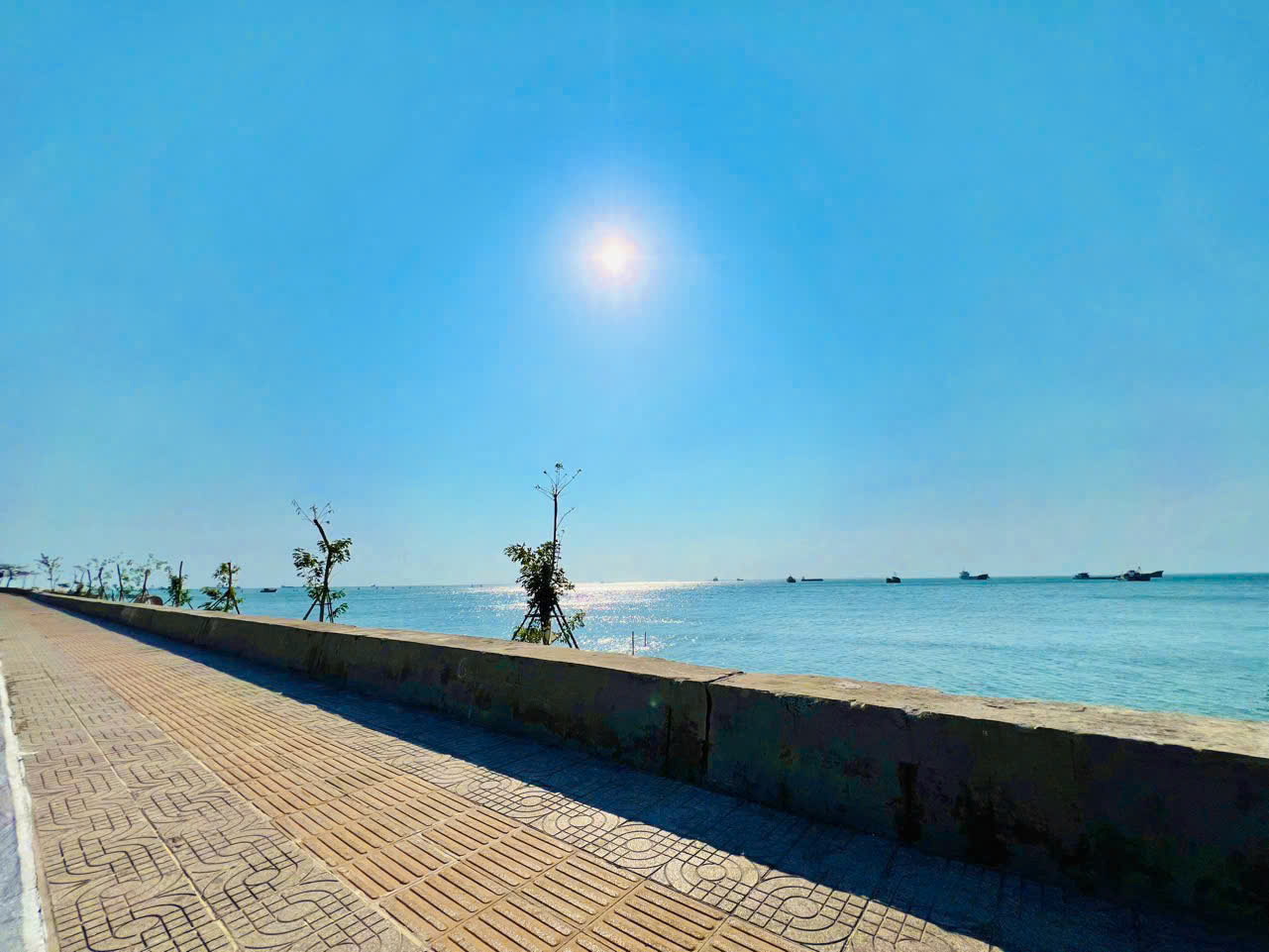 BÁN ĐẤT TRỐNG MẶT TIỀN TRẦN PHÚ, PHƯỜNG 5, VŨNG TÀU, DIỆN TÍCH 65.5M2 VỊ TRÍ MUA ĐẦU TƯ HỢP LÝ