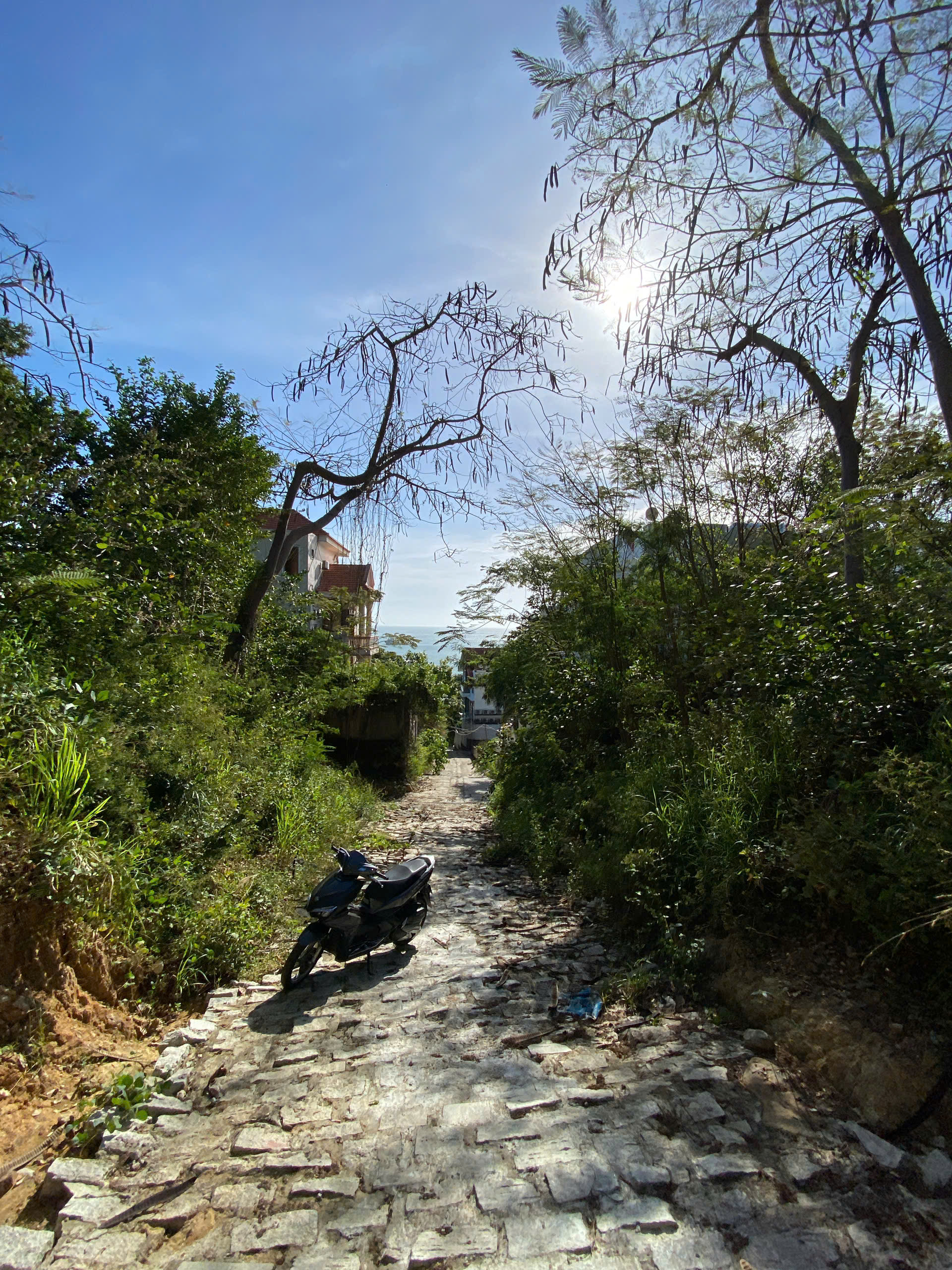 BÁN ĐẤT TRỐNG KHU BIỆT THỰ ĐỒI SỨ, PHƯỜNG 5, VŨNG TÀU, DIỆN TÍCH 707.5M2 VỊ TRÍ GẦN BIỂN, VIEW ĐẸP, TIỀM NĂNG ĐẦU TƯ SINH LỜI