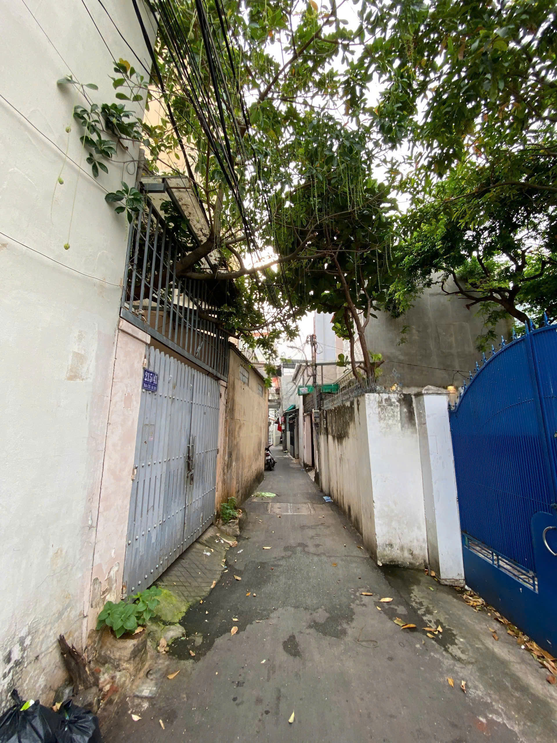 BÁN NHÀ ĐƯỜNG BA CU, VŨNG TÀU, DIỆN TÍCH 245M2 VỊ TRÍ ĐẸP, KHU VỰC AN NINH, TIỀM NĂNG SINH LỜI