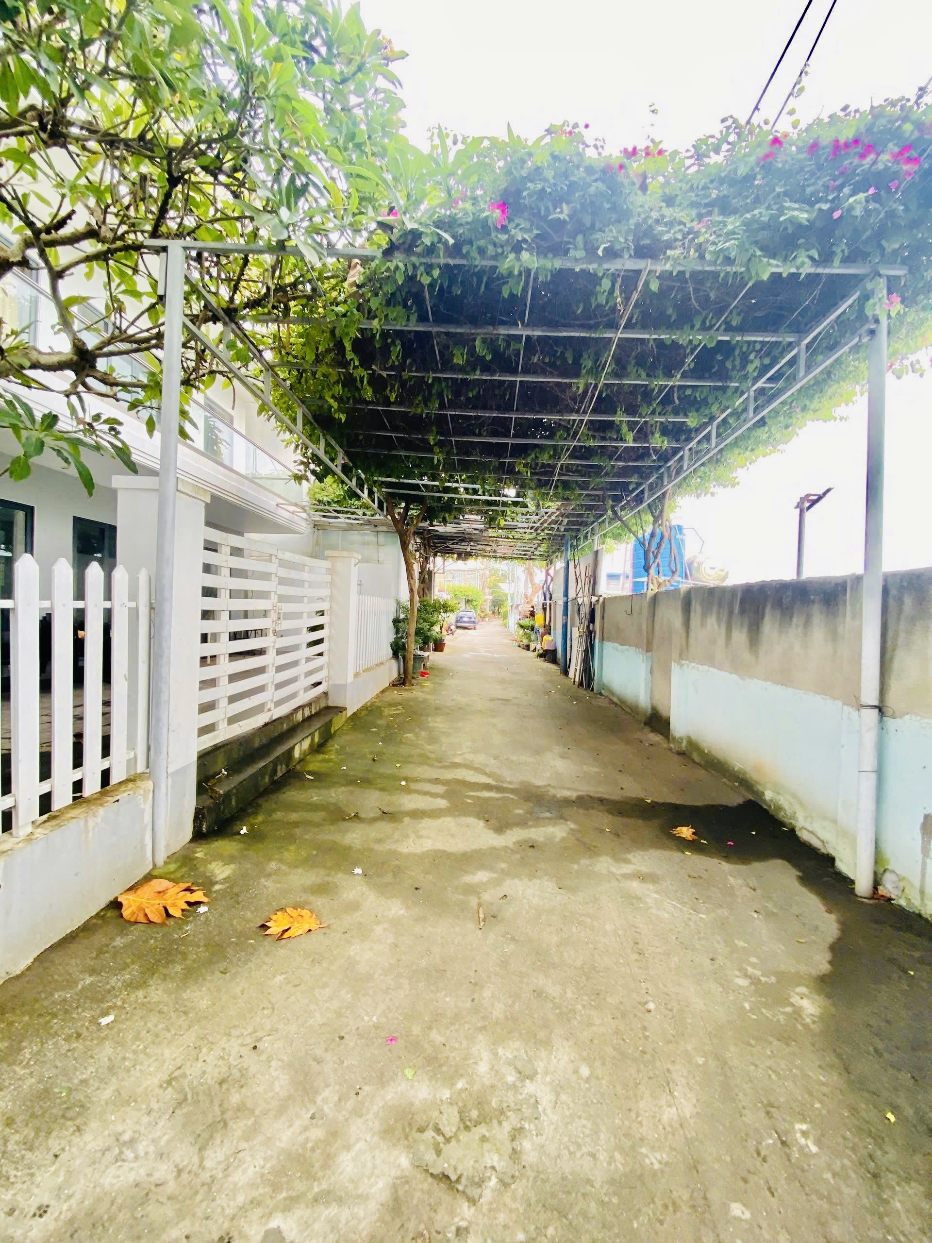 BÁN ĐẤT TRỐNG HẠ LONG, VŨNG TÀU, DIỆN TÍCH 123,1M2 VỊ TRÍ SÁT BIỂN VIEW ĐẮC ĐỊA, HƯỚNG TÂY NAM