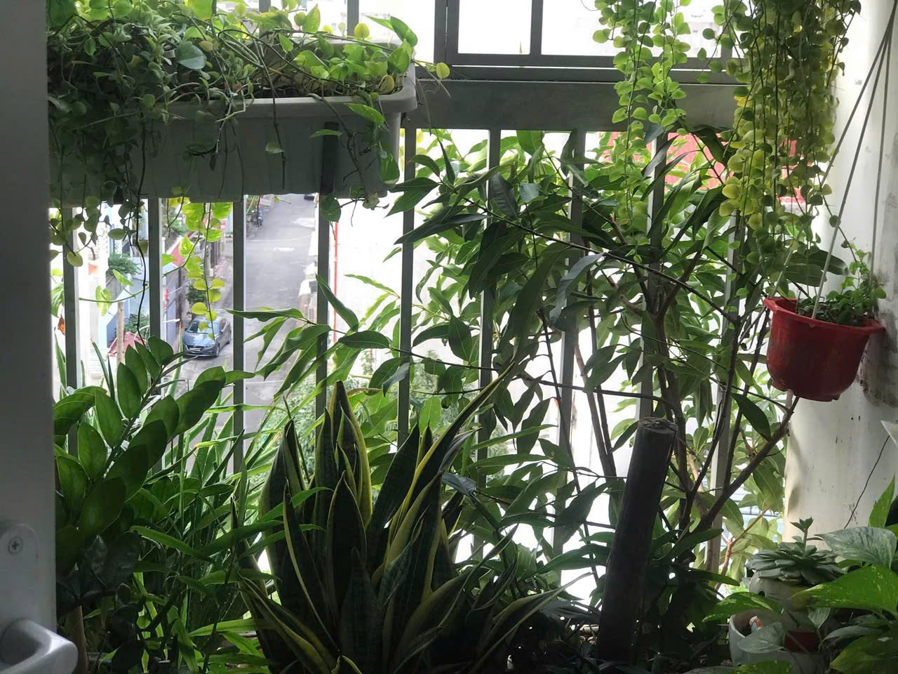 BÁN CĂN HỘ PVC NGUYỄN HỮU CẢNH, VŨNG TÀU, DIỆN TÍCH 69.5M2 VỊ TRÍ VIEW THÀNH PHỐ, KHU DÂN CƯ AN NINH VÀ TIỀM NĂNG